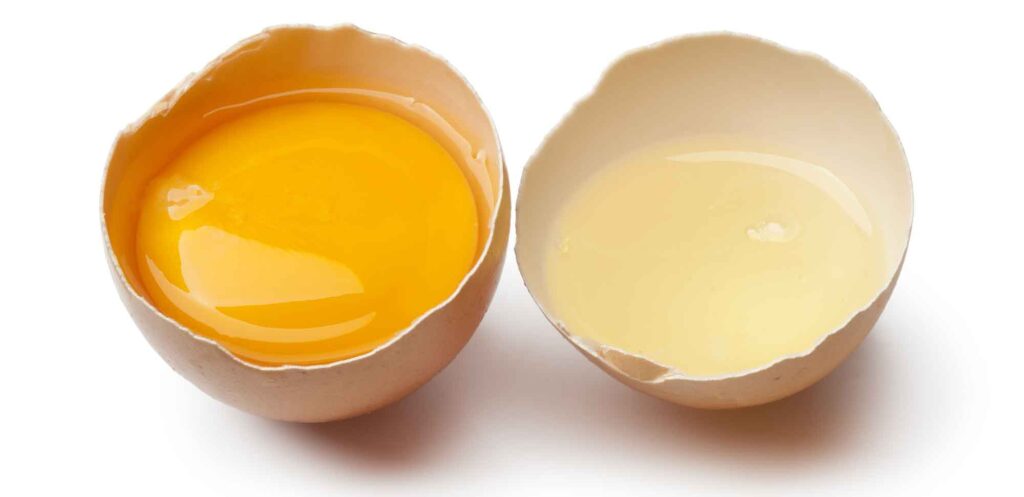 Egg Tempera and Tempera Grassa Techniques