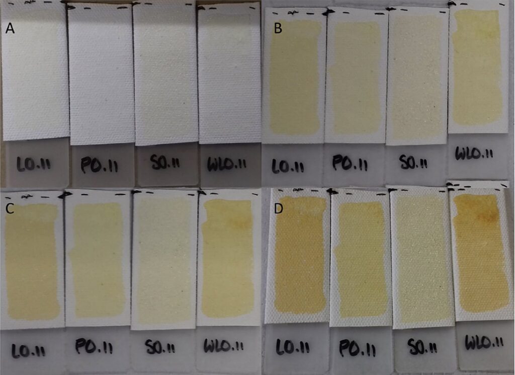 Preventing yellowing oil paintings: Visual representation of yellowing progression in linseed oil films.