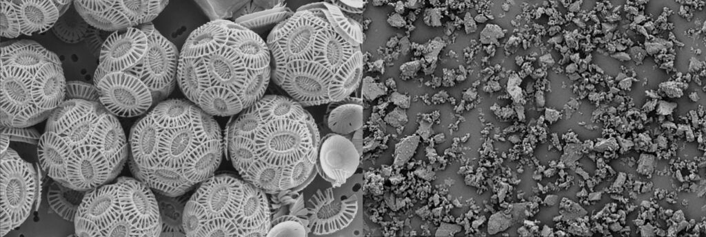 How to prepare gesso grounds and chalk grounds