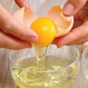 Group logo of Egg Tempera